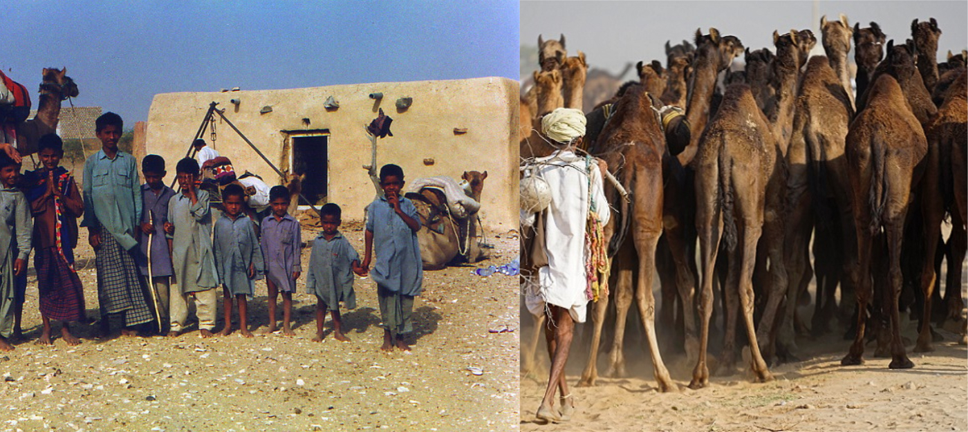 Jaisal Tours